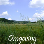 Omgeving