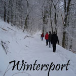 Wintersport in de Harz