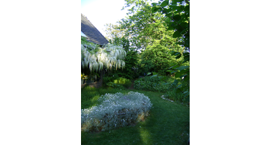 17-Kopie van DSC03993