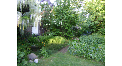 19-Kopie van DSC03996