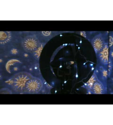 Us, eggs of evolution part II